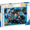 Ravensburger Puzzle: Harry Potters Magic World (1000)